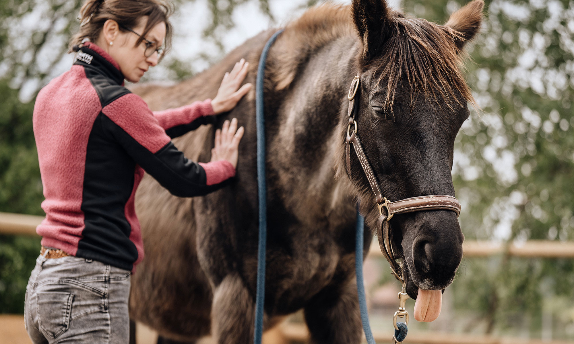 Pferde-Osteopathie