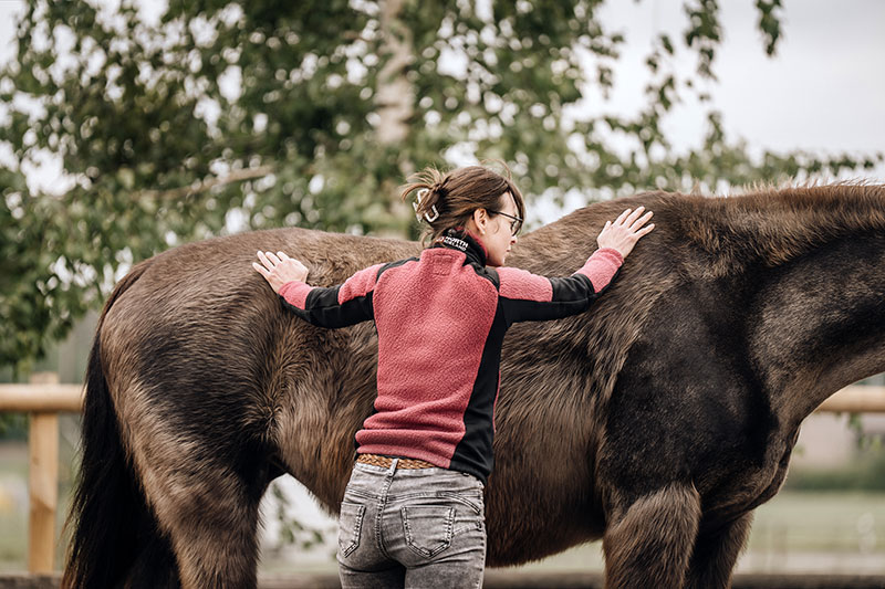 Kraft, Stabilität & Kontrolle: