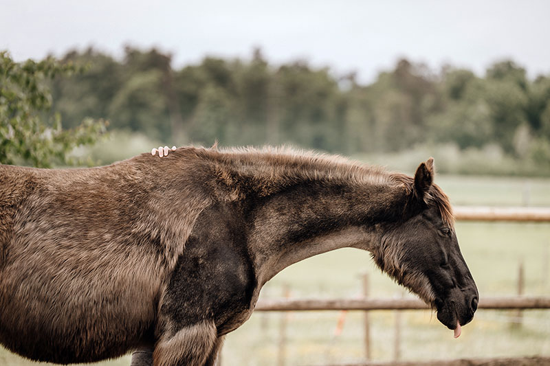 Entspannt im hier & jetzt:
