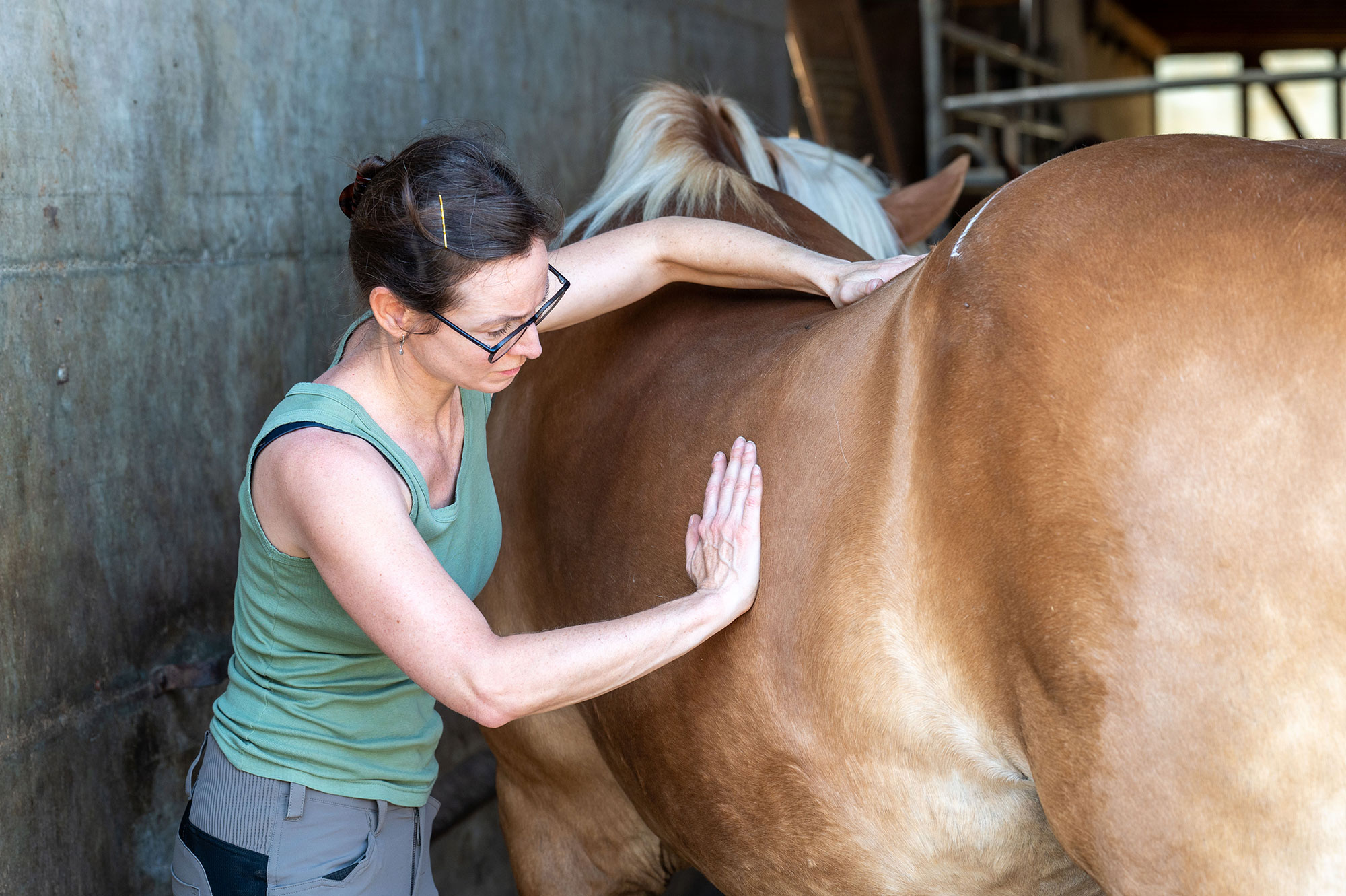 Viszerale Osteopathie